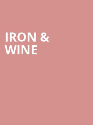 Iron Wine, Cape Fear Community Colleges Wilson Center, Wilmington
